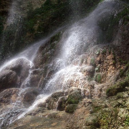 Hacienda El Jibarito Aparthotel San Sebastian Εξωτερικό φωτογραφία
